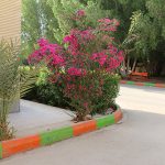 فضای سبز